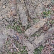 12 pocisków pochodzących z okresu II wojny światowej zostało znalezione w lesie w miejscowości Przyszów.