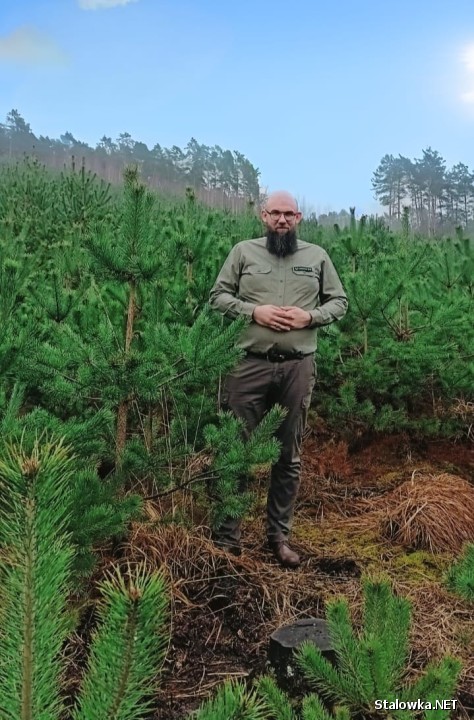 Grzegorz Tracz, specjalista Służby Leśnej ds. ochrony lasu w Nadleśnictwie Rozwadów wśród młodego pokolenia drzew.