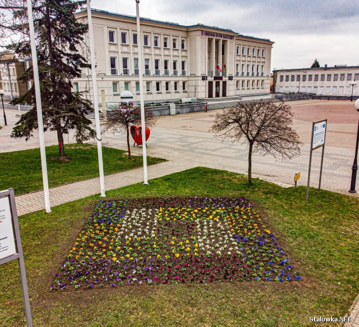 Miejski Zakład Komunalny w Stalowej Woli rozpoczął wiosenne nasadzenia. Ukwiecone klomby można zobaczyć już przy kinie Ballada i Miejski Dom Kultury.