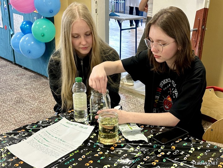 Dzień otwarty w SLO w Stalowej Woli.