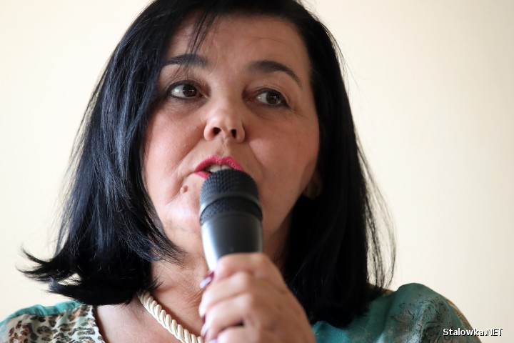 9 maja 2024 roku z inicjatywy prezydenta Stalowej Woli Lucjusza Nadbereżnego, odbyły się konsultacje w sprawie powstania Strategicznego Parku Inwestycyjnego Euro-Park Stalowa Wola.