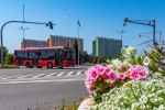 Na terenie Stalowej Woli pracownicy zieleni Miejskiego Zakładu Komunalnego ukwiecają donice. Jest ich 150.