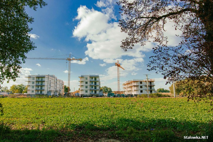 Za dwa lata zobaczymy Osiedle Ogrodowe w pełnej krasie. To 8 bloków, 232 mieszkania.