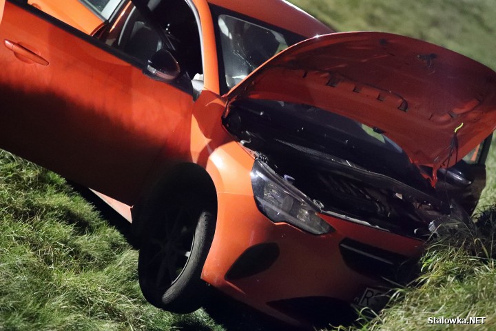 Auto spadło ze skarpy. Wypadek na obwodnicy Stalowej Woli i Niska.