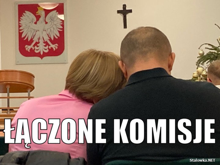 Łączone komisje w Urzędzie Miasta.