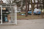 Około godz. 7:00 na zielonym skwerze za pawilonami handlowymi Jubilat jeden z przechodniów ujawnił leżącego, nie dającego oznak życia dorosłego mężczyznę. 