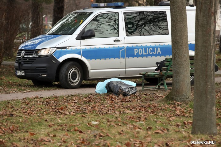 Około godz. 7:00 na zielonym skwerze za pawilonami handlowymi Jubilat jeden z przechodniów ujawnił leżącego, nie dającego oznak życia dorosłego mężczyznę. 