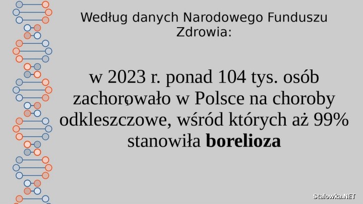 Ukąsił cię kleszcz? Koniecznie się zbadaj.
