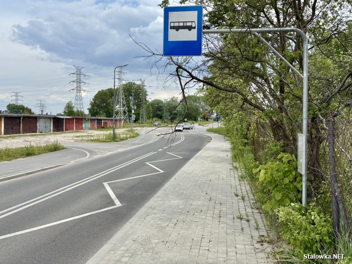 Od 2 czerwca uruchomiona zostanie nowa linia komunikacji miejskiej o oznaczeniu 21.