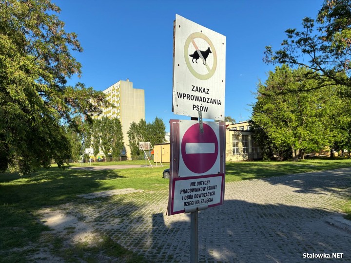Nowy parking i więcej miejsc przy szkole specjalnej.