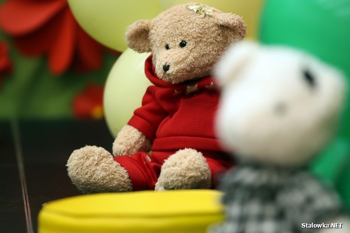 Mieszkańcy gminy Bojanów doczekają się budowy nowoczesnego żłobka. Ma on powstać w Przyszowie, po przebudowie nieużytkowej części budynku Zespołu Szkolno-Przedszkolnego.