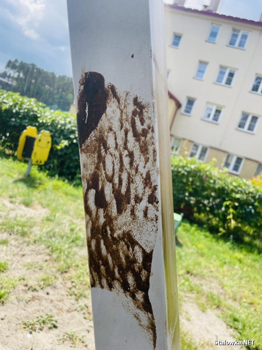Plac zabaw na Orzeszkowej wymazany oleistą substancją.