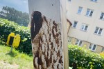 Plac zabaw na Orzeszkowej wymazany oleistą substancją.