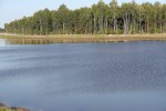 Dobiega końca budowa nowej drogi gospodarczej, która docelowo będzie nazywać się ulicą Seulską.
