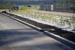 Dobiega końca budowa nowej drogi gospodarczej, która docelowo będzie nazywać się ulicą Seulską.