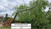 Wskutek nawałnicy i wichury jaka przeszła nad Stalową Wolę, miasto przedstawiło bilans strat powalonych drzew.