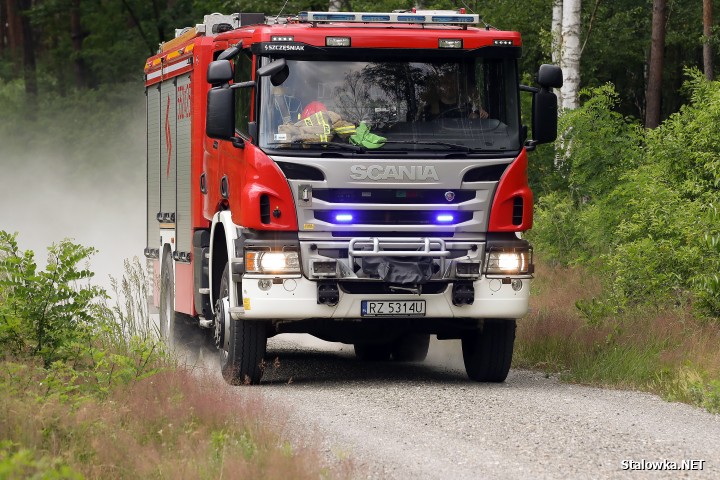 Pożar lasu na Ciemnym Kącie.