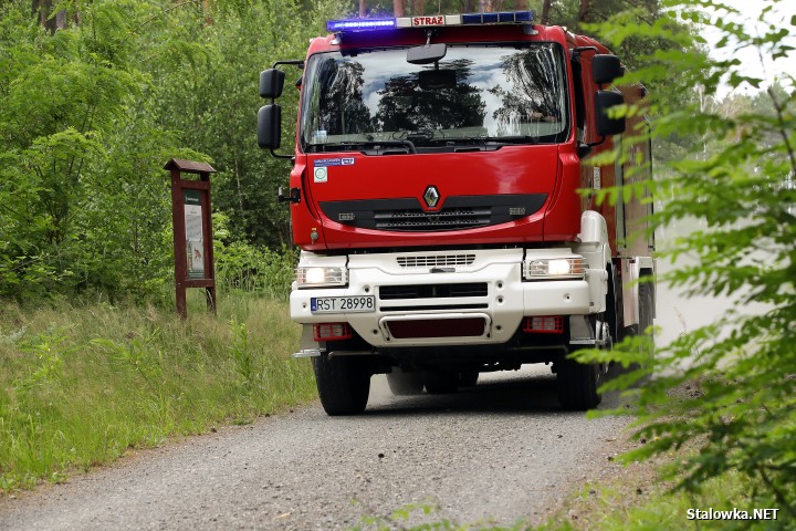 Pożar lasu na Ciemnym Kącie.