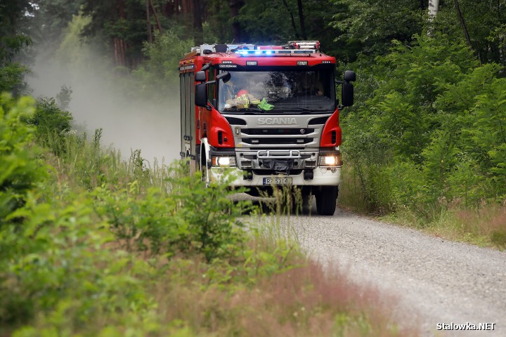 Pożar lasu na Ciemnym Kącie.
