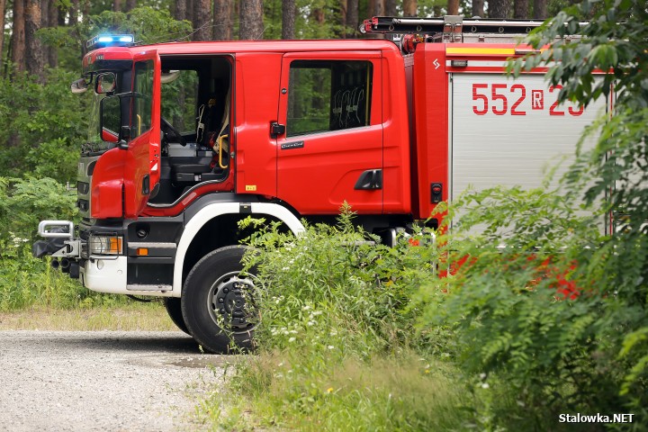 Pożar lasu na Ciemnym Kącie.
