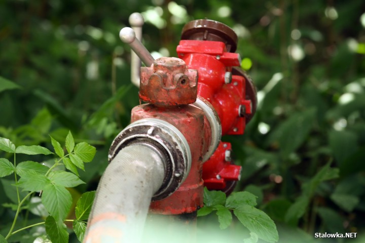 Pożar lasu na Ciemnym Kącie.