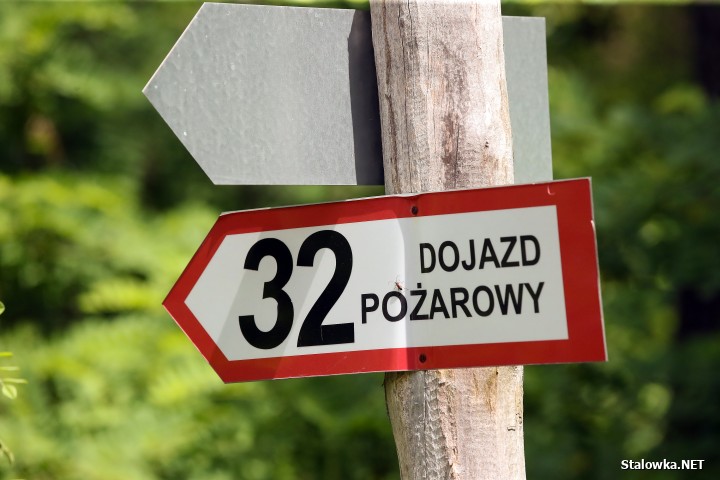 Pożar lasu na Ciemnym Kącie.