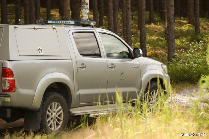 Pożar lasu na Ciemnym Kącie.