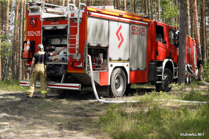 Pożar lasu na Ciemnym Kącie.