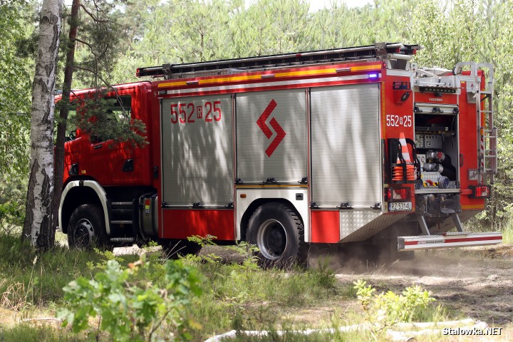 Pożar lasu na Ciemnym Kącie.