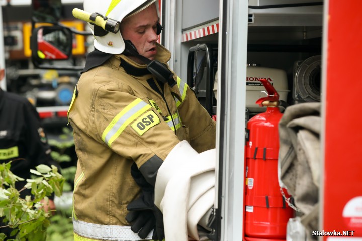 Pożar lasu na Ciemnym Kącie.