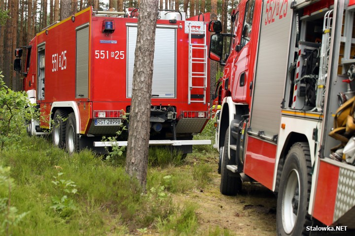 Pożar lasu na Ciemnym Kącie.