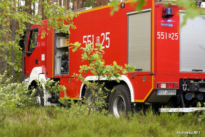 Pożar lasu na Ciemnym Kącie.
