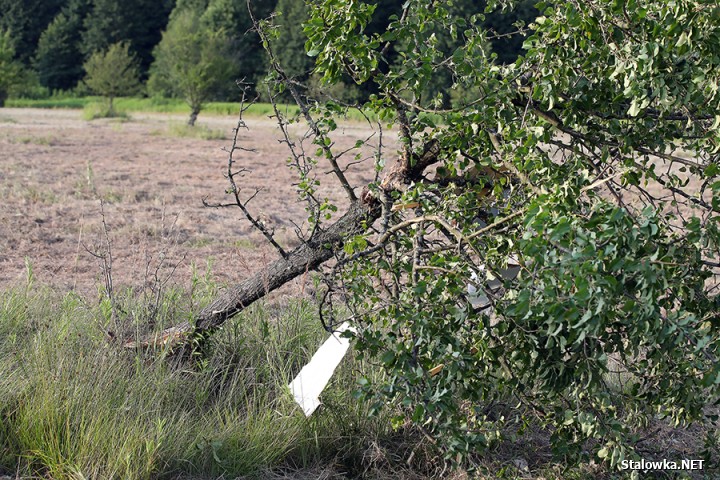 W miejscowości Musików rozbił się szybowiec. Na miejsce wezwano służby ratunkowe.