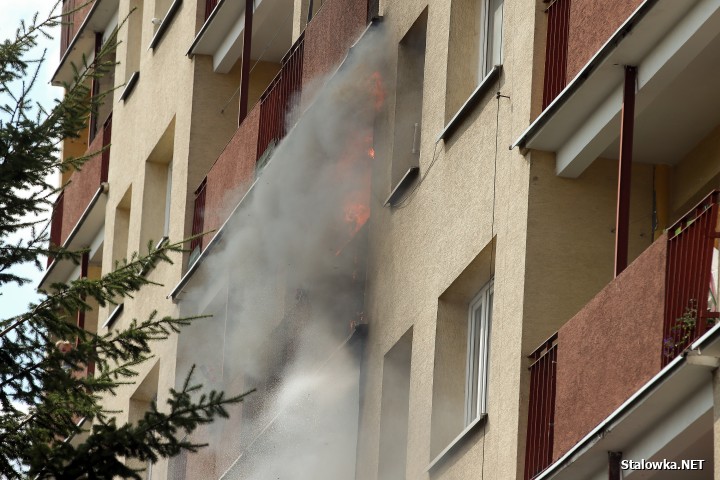 Stalowa Wola: pożar w bloku na Okulickiego.