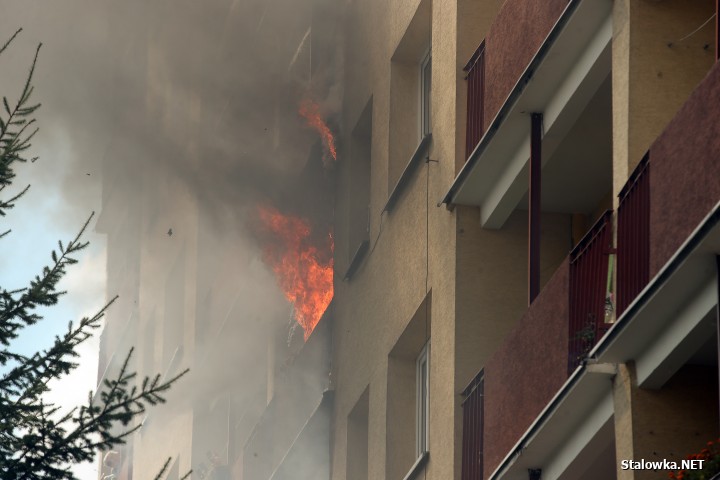 Stalowa Wola: pożar w bloku na Okulickiego.