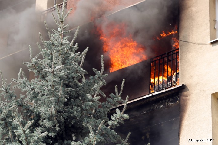 Stalowa Wola: pożar w bloku na Okulickiego.