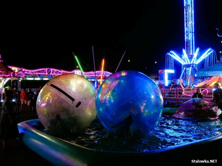 Stalove Festiwal 2025