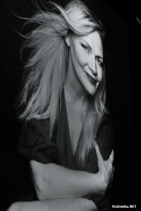 Stalove Festiwal 2025