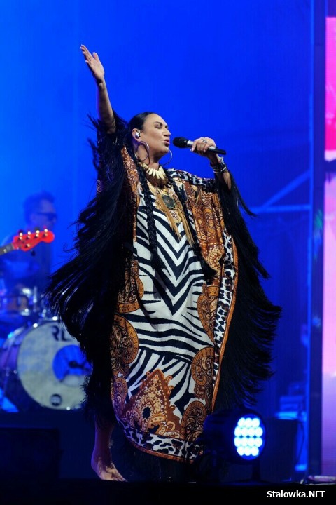 Stalove Festiwal 2025