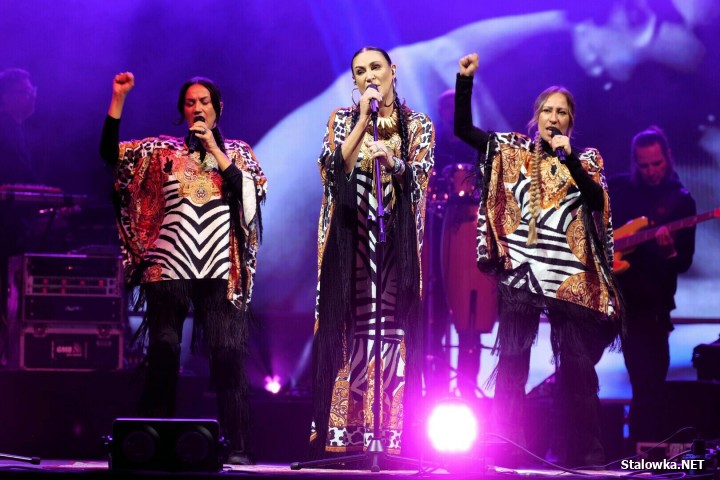 Stalove Festiwal 2025