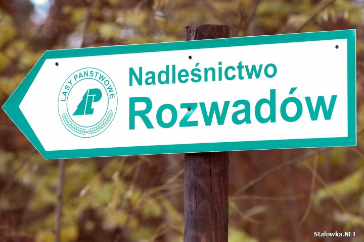 Spotkanie w sprawie strefy gospodarczej w Nadleśnictwie Rozwadów.