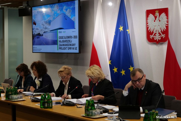 5 minut o atomie - tyle czasu na przedstawienie projektu na temat budowy małego reaktora SMR BWX-300 w Stalowej Woli dostali inwestorzy Orlen i Synthos Green Energy.