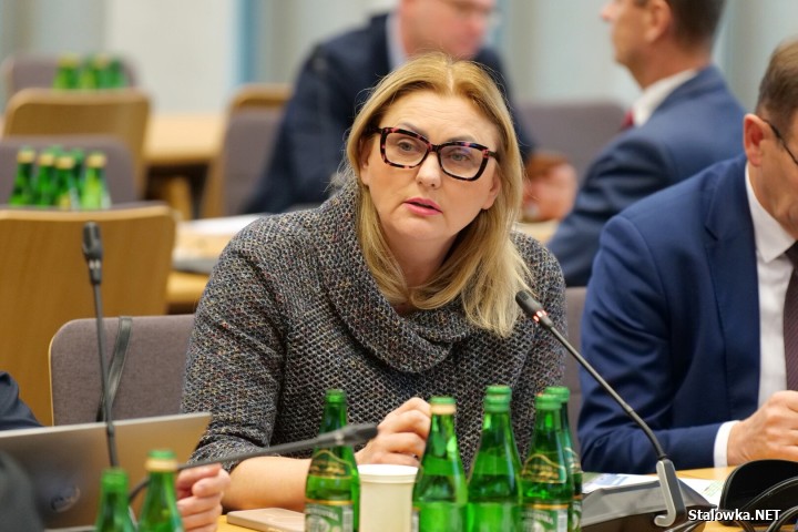 5 minut o atomie - tyle czasu na przedstawienie projektu na temat budowy małego reaktora SMR BWX-300 w Stalowej Woli dostali inwestorzy Orlen i Synthos Green Energy.