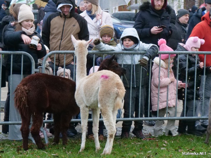 7 grudnia, odbyły się wyjątkowe Mikołajki Miejskie.