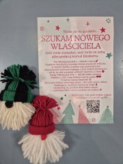1041 Mikołajów z włóczki można znaleźć w przestrzeni miejskiej dzięki inicjatywie Klubu Wolontariusza Stalowa Wola i partnerów. Akcja ruszyła pod hasłem Wcale się nie zgubiłem. Szukam nowego właściciela.