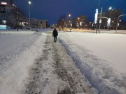 Stalowi Patrioci ruszyli z łopatami na miasto, aby wesprzeć służby w odśnieżaniu.