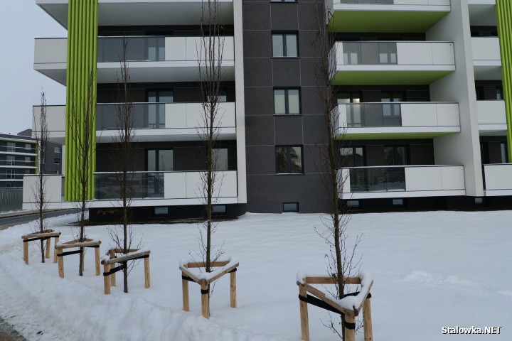 14 stycznia 2026 roku oficjalnie otwarto Osiedle Ogrodowe w Stalowej Woli.