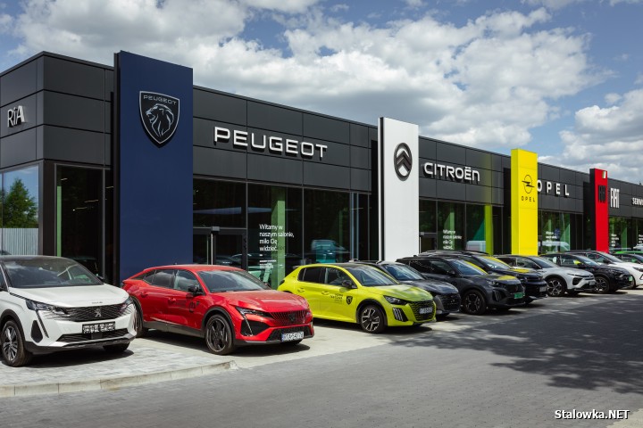 RIA Dealer z Jamnicy zwycięzcą Gali Stellantis 2026. Pięć tytułów dla Dealera Roku!