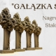 Stalowa Wola: Trwa nabór wniosków o nagrodę Gałązka Sosny