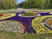 Rondo na ulicy Energetyków w Stalowej Woli decyzją radnych miejskich będzie miało swoją nazwę. Fundacja Przywróćmy Pamięć wyszła z inicjatywą imienia Korpusu Zachodniego.